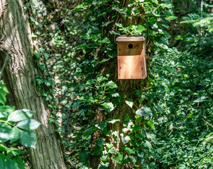 Bird House