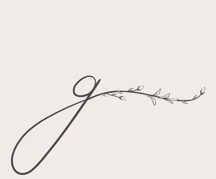 Vector Hand Drawn floral g monogram and logo
