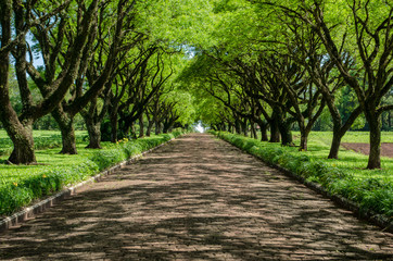 Obraz premium estrada