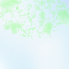 Green flower petals falling down. Splendid romanti