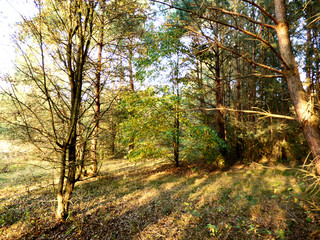 Piękne kolory jesieni.