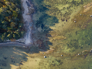 Aerial autumn forest near Sea