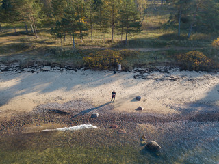 Aerial autumn forest near Sea