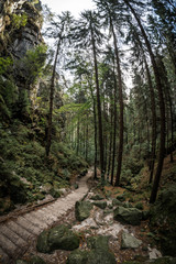 Elbsanstein Gebierge in der S&auml;chsischen Schweiz