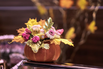 Flowers in pumpkin. Thanksgiving Day and Halloween festive decoration and concept. Autumn, fall background