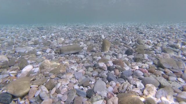 Schnorcheln &uuml;ber den Kieselstand