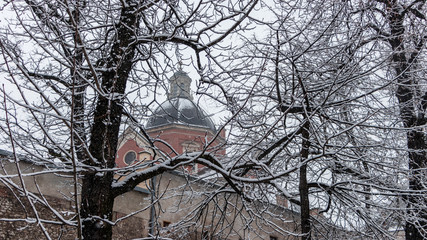 winter on the Krakowskie Planty, Poland