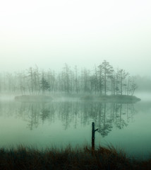 autumn misty swamp