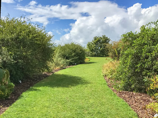 Path from a shaved lawn in the park