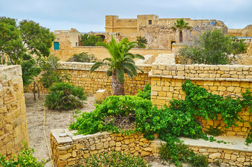 Among the ruins of Rabat Citadel, Victoria, Gozo, Malta