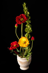 Floral arrangement from artificial poppy flowers in old ceramic flower pot.