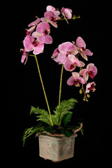 Floral arrangement from artificial orchid flowers in old ceramic flower pot.