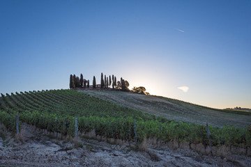 Fototapeta premium Il sole dietro la collina
