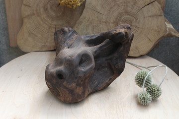Brown burned driftwood piece in a shape of bull scull