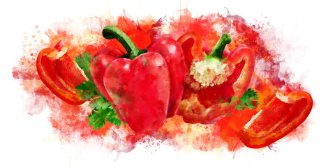 Red Pepper on white background. Watercolor illustration