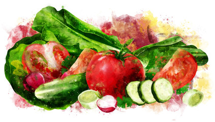 Tomato , cucumber and salad on white background. Watercolor illustration
