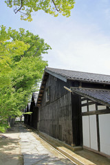 Fototapeta na wymiar 山居倉庫と欅並木