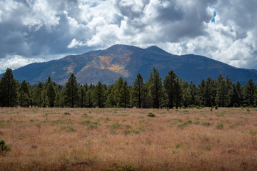 Fall on the mountains