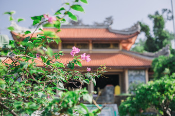 Pagoda in the garden