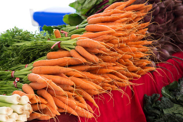 Carrots on Display at Farmer's Market