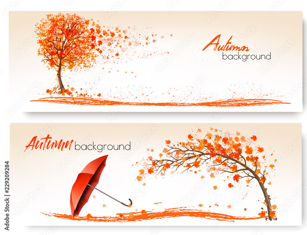 Poster two autumn banners with trees and umbrella. vector.