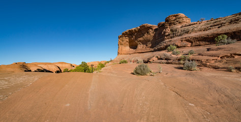 Delicate Arch in Arches National Park Utah, USA