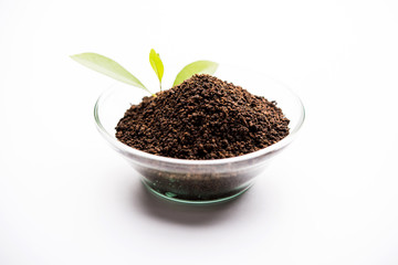 Black Tea Powder or dry dust with or without green leaf and served hot chai in a cup