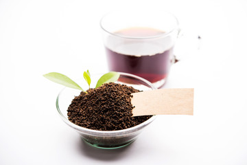 Black Tea Powder or dry dust with or without green leaf and served hot chai in a cup
