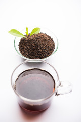 Black Tea Powder or dry dust with or without green leaf and served hot chai in a cup
