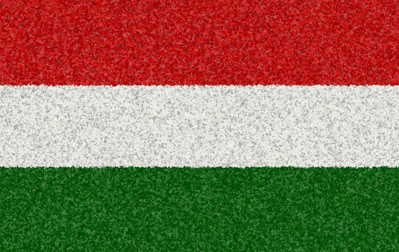 Illustration of a Hungarian flag with a blossom pattern
