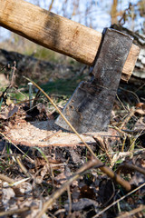 axe and stump