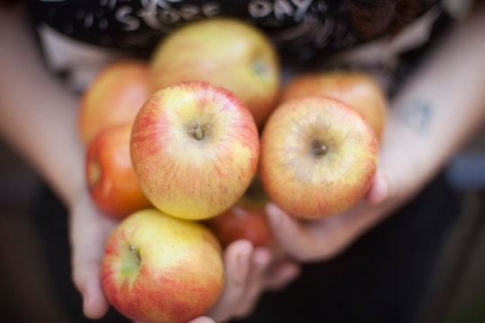 Soft focused image of arms holding ripe honeysuckle apples