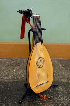 Musical instrument lute instrument