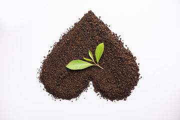 Black Tea Powder or dry dust with or without green leaf and served hot chai in a cup