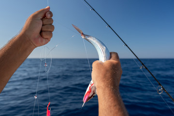 Fishermen fishing from boat in sea