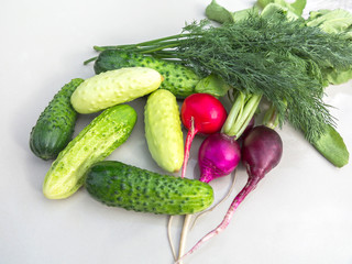 Cucumbers, radishes, dill on the white surface of the table