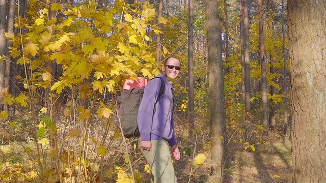 Man, tourist, man with backpack, walking in the autumn forest with vyellow bushes.