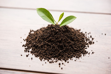 Black Tea Powder or dry dust with or without green leaf and served hot chai in a cup