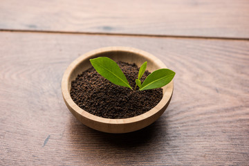 Black Tea Powder or dry dust with or without green leaf and served hot chai in a cup