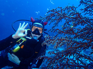 plongée sous marine 