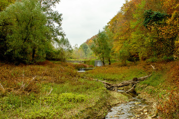 Fototapeta na wymiar Small river surrounded with forest. Beautiful autumn colors. The environment of Kragujevac city in Serbia.