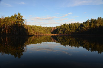 Fototapeta na wymiar Spiegelung am See, mit Bäumen