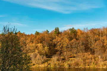 Fototapeta premium jesienny krajobraz z drzewami i niebieskim niebem