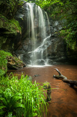 waterfall in the forest