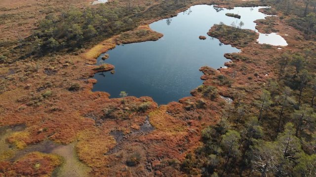 Aerial shot of sun reflection in water ponds in Pilka bog, Latvia