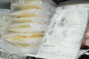 expresed breast milk packed in storage bags and frozen in the freezer