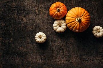 Pumpkins on a dark wooden background
