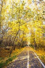 Warm autumn day in the park