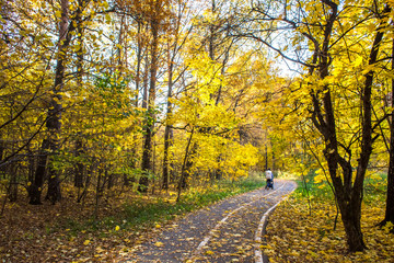 Warm autumn day in the park