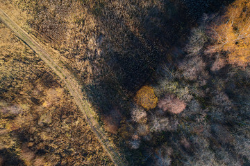Autumn forest with a road. High-altitude shooting from a drone.